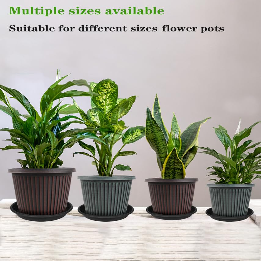 Grjoprt indoor garden setup with 8-inch saucers supports tidy plant care