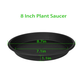 Grjoprt 8-inch saucer stacked for space-saving storage
