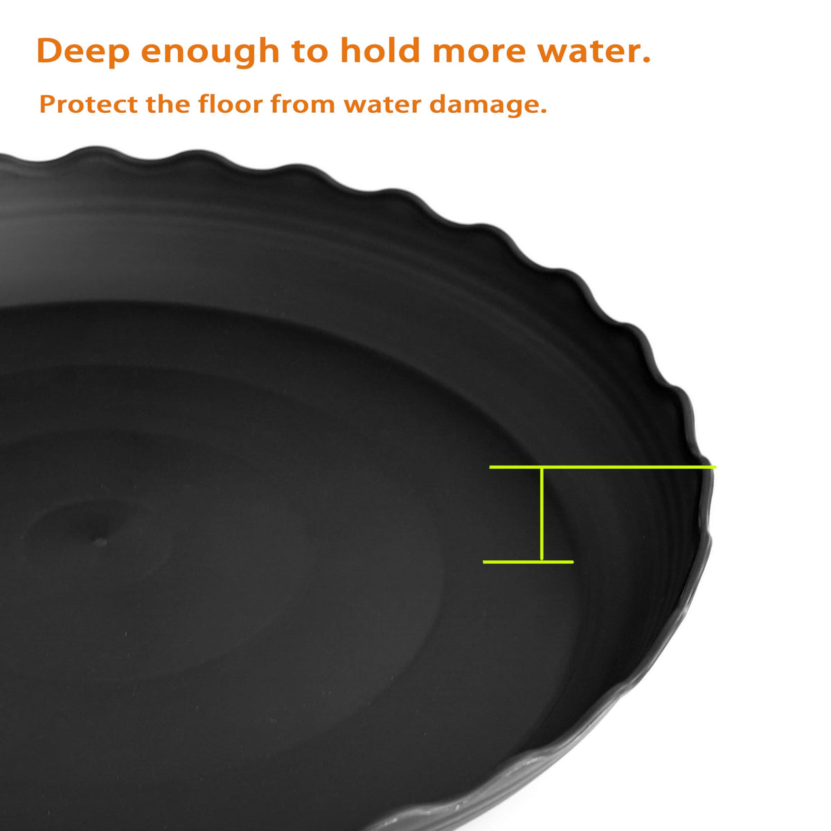 Grjoprt saucer close-up shows wavy edge and matte finish