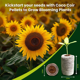 Gro-Med 35mm coco coir pellets expand with water for quick germination