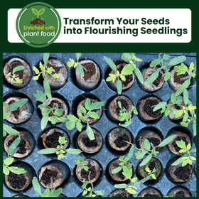 Gro-Med seed starter kit for herbs, vegetables, and flowers start
