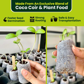 Gro-Med transplant-ready seedlings exiting the pellets