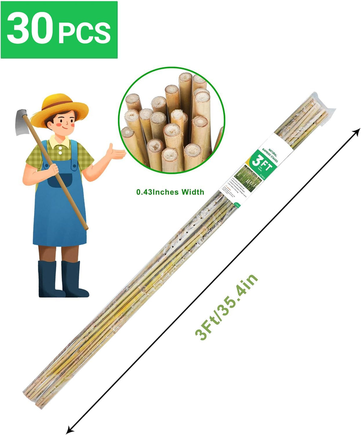 Groovboo bamboo stake for beans helps climbing vines reach sunlight