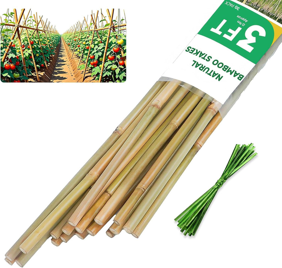 Groovboo 3ft bamboo stake for tomatoes provides sturdy upright support