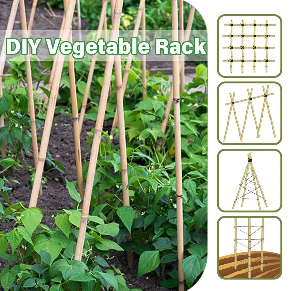 Groovboo bamboo stake supports flowering plants in garden beds
