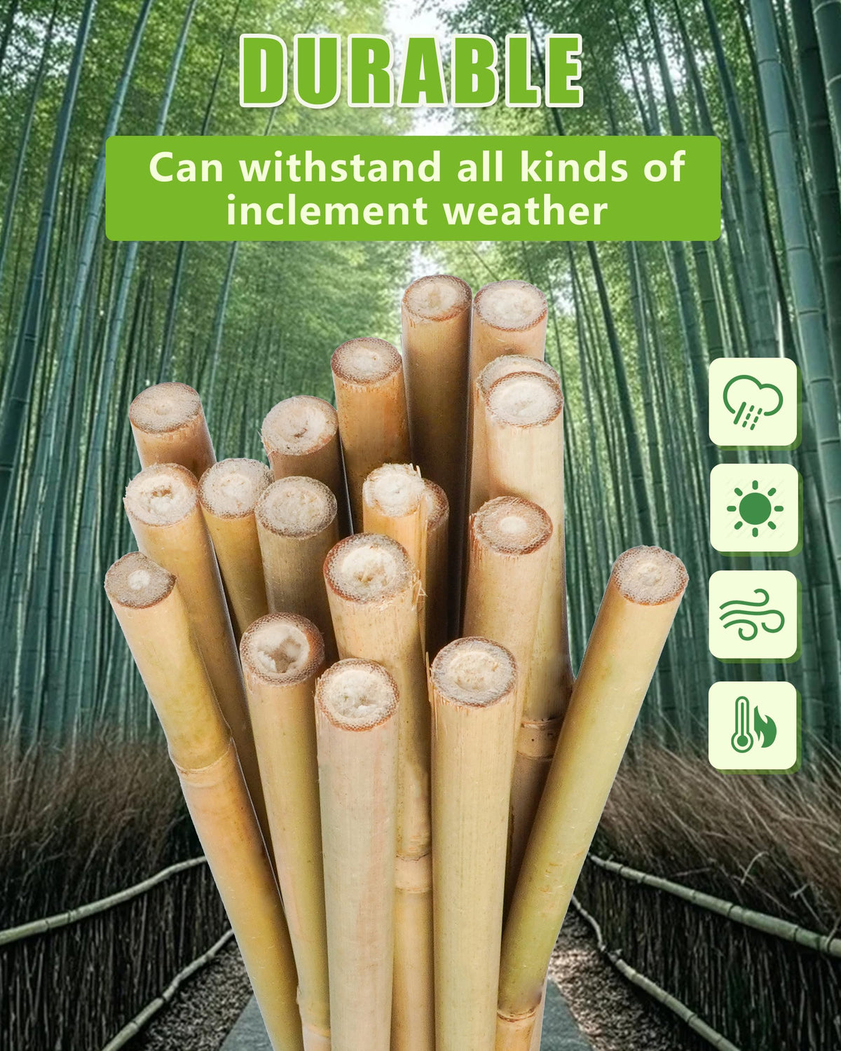 Groovboo bamboo stakes promote vertical growth for climbing plants and tidy beds.