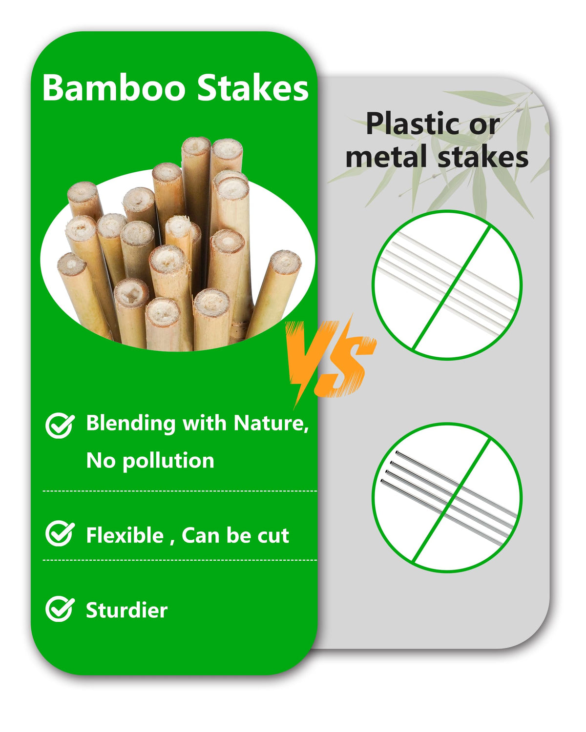 Groovboo bamboo stakes support flowering plants for neat, upright growth.
