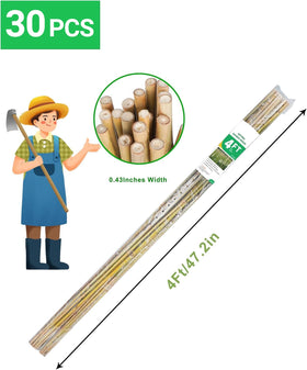 Groovboo bamboo stakes for tomato plants keep stems upright and fruit accessible.