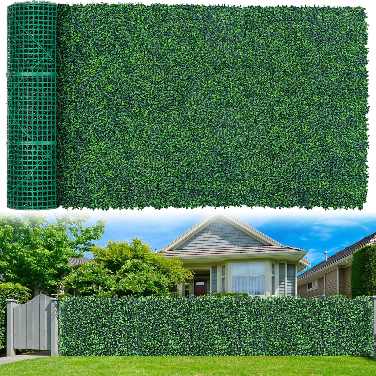 Grooy Boxwood Roll 60x120 privacy screen for patios and balconies.