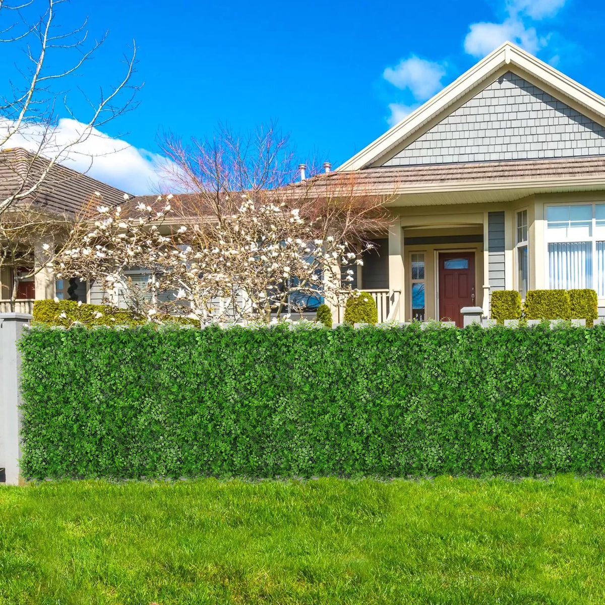 Grooy green wall decor updates any space with ease.