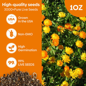 Groundio Calendula Pacific Beauty Mix seeds in 1 oz packaging for freshness.