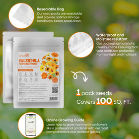 Groundio Calendula tolerates cool weather and cool-season planting conditions.