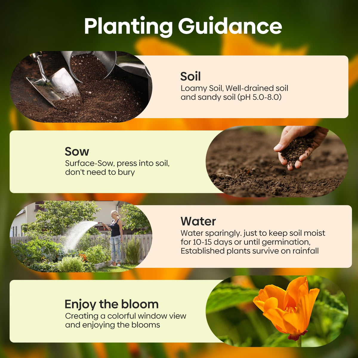 Groundio California poppy seeds 1-ounce packaging ready-to-sow quantity