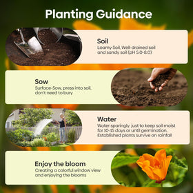 Groundio California poppy seeds 1-ounce packaging ready-to-sow quantity