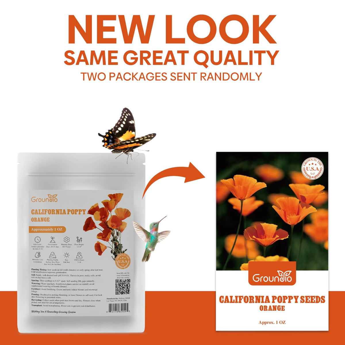 Groundio California poppy seeds flowers close-up highlights vibrant orange petals