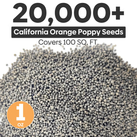 Groundio California poppy seeds sowing guide demonstrates easy spring planting