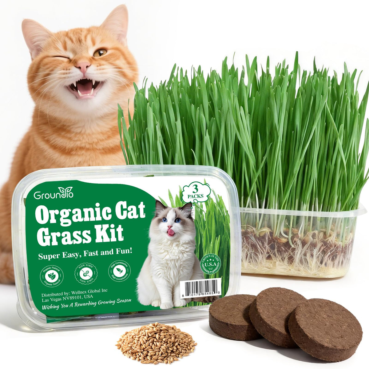 Groundio cat grass kit packaging shows an all-in-one indoor growing setup for cats