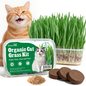 Groundio cat grass kit packaging shows an all-in-one indoor growing setup for cats