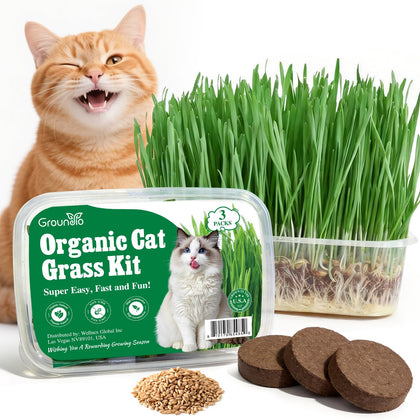 Groundio cat grass kit packaging shows an all-in-one indoor growing setup for cats