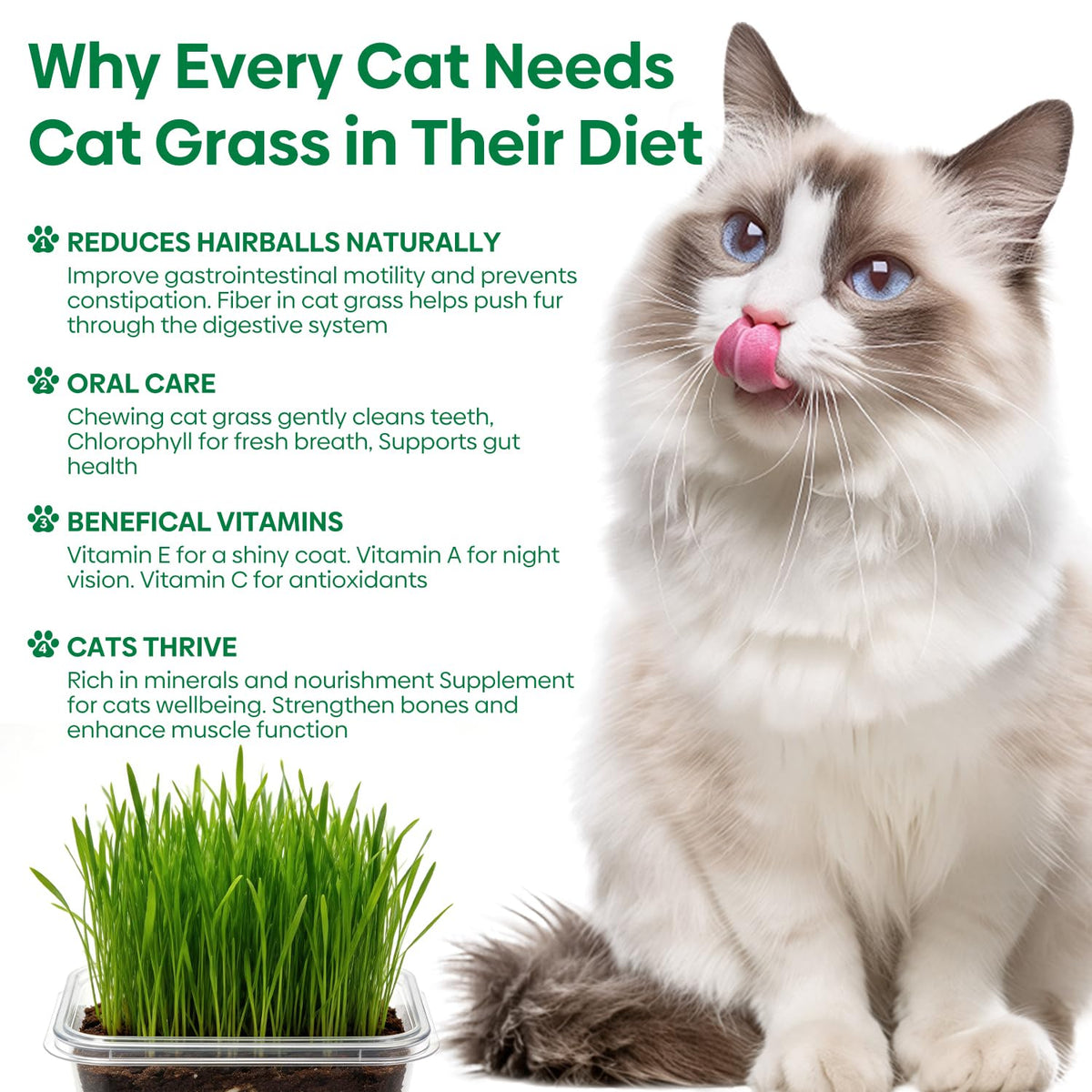Groundio cat-paw stirring sticks speed planting and cleanup