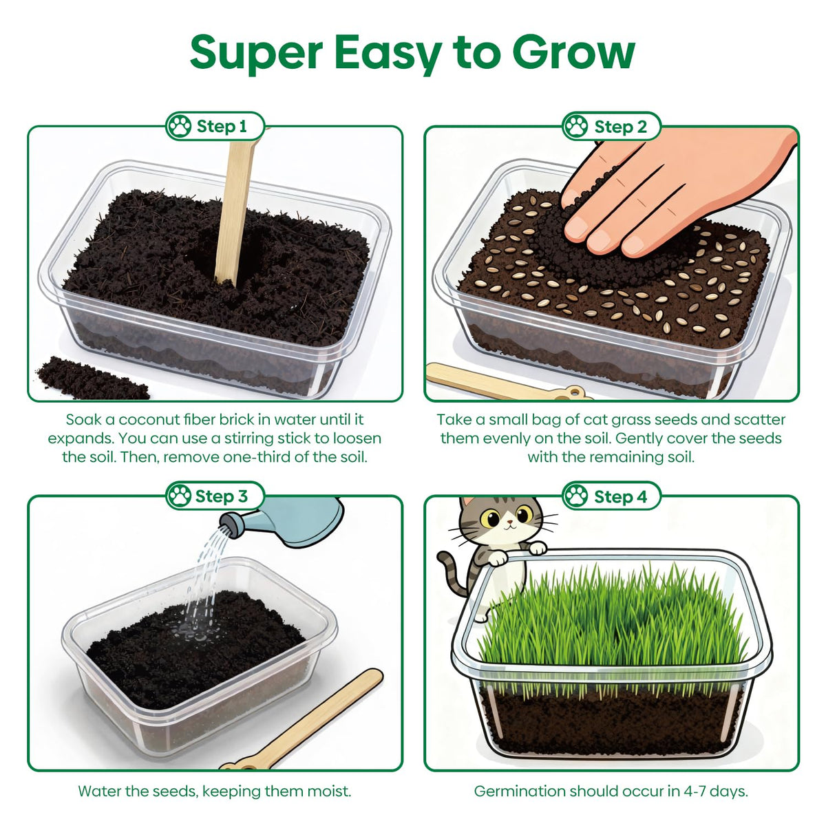 Groundio coco coir bricks expand with water for mess-free planting