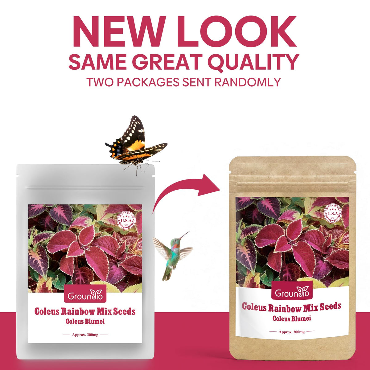Groundio Coleus Rainbow Mix leaves display vibrant color for borders and beds.