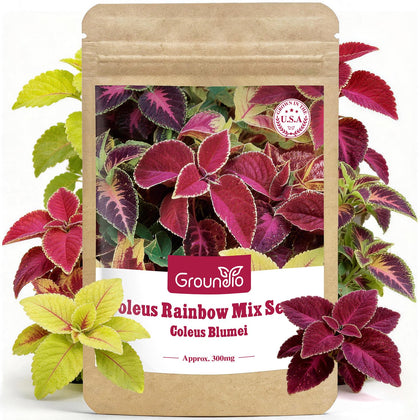 Groundio Coleus Rainbow Mix seeds packet ready for colorful garden planting.