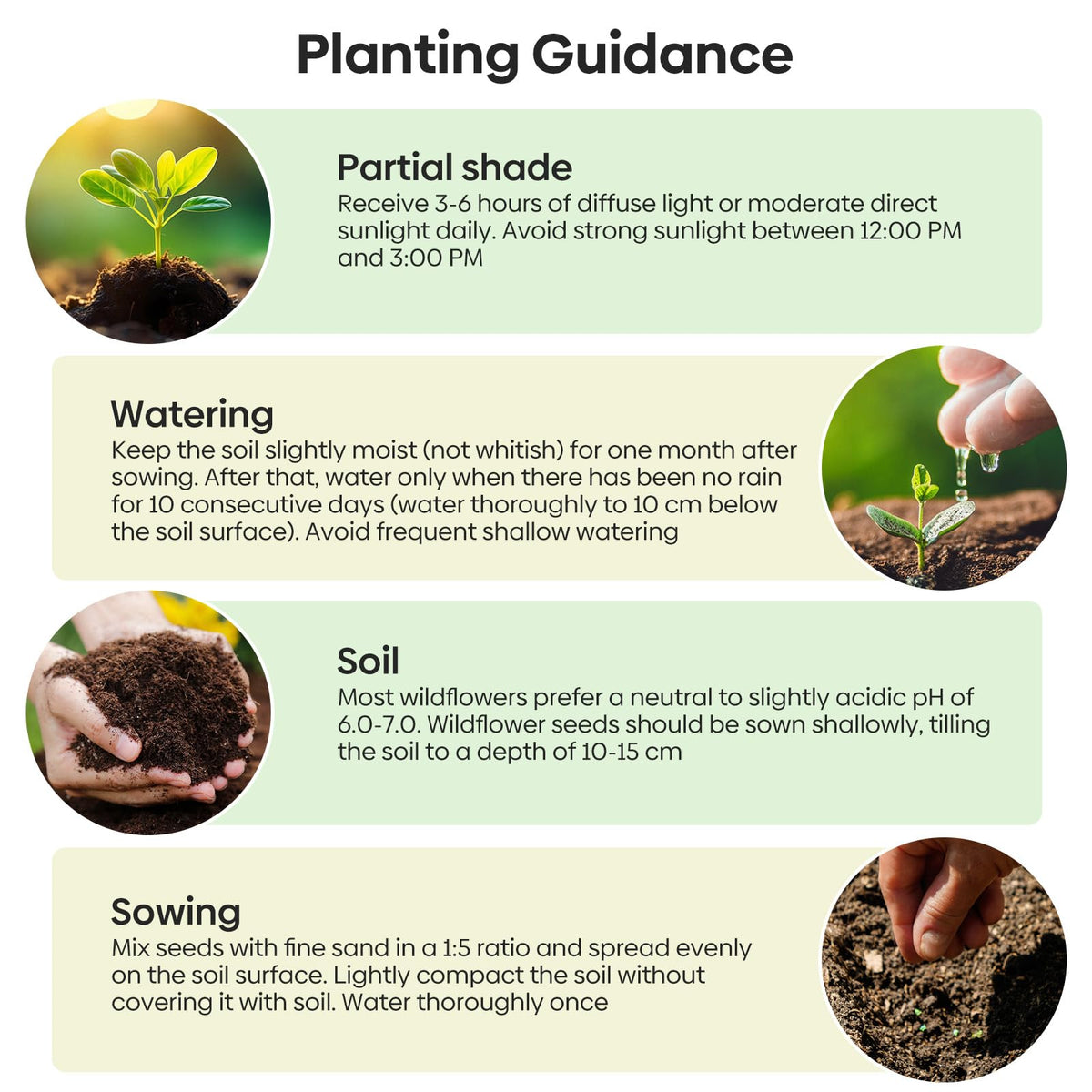 Groundio columbine, daisy, and coreopsis perennials adding long-lasting color