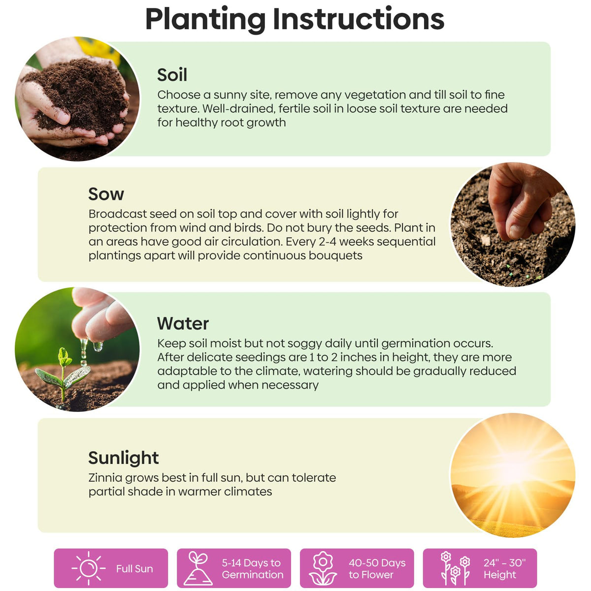 Groundio cosmos high germination-rate seeds promise reliable sprouting in 7–21 days