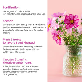 Groundio cosmos open-pollinated garden seeds attract butterflies and bees