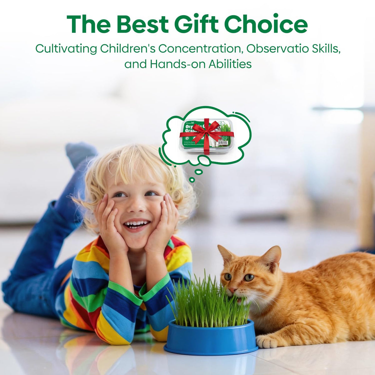 Groundio durable plastic tray prevents tipping in busy homes