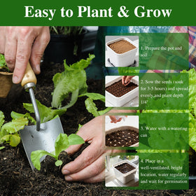 Groundio indoor hydroponic setup ready for year-round romaine production