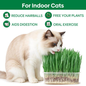 Groundio instruction manual provides clear indoor growing steps