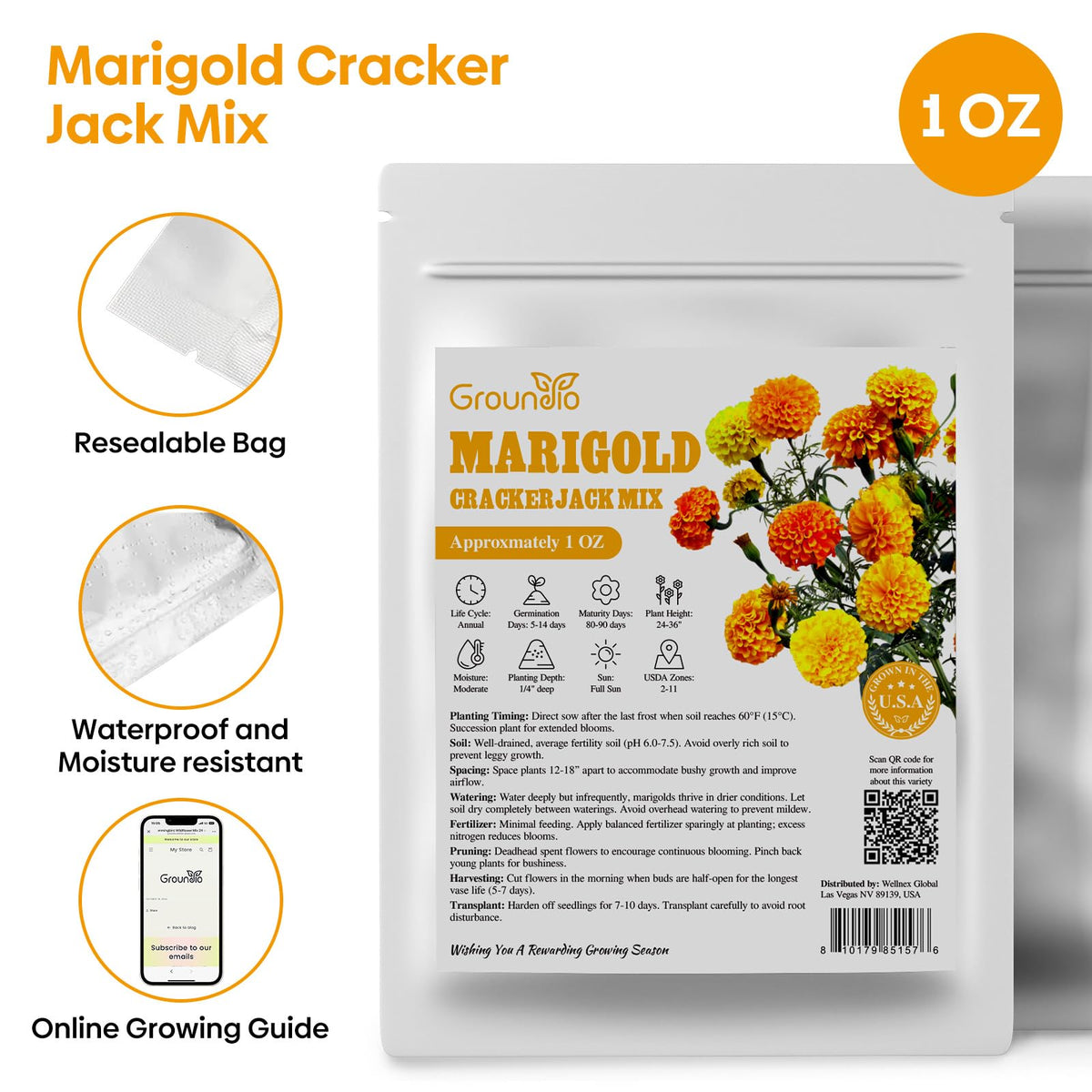 Groundio marigolds attract butterflies and bees, supporting pollination.