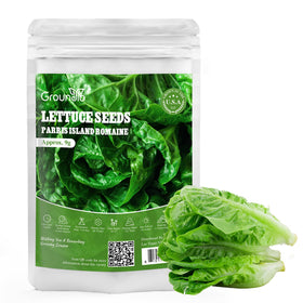 Groundio non-GMO romaine seeds packet for conscious growers