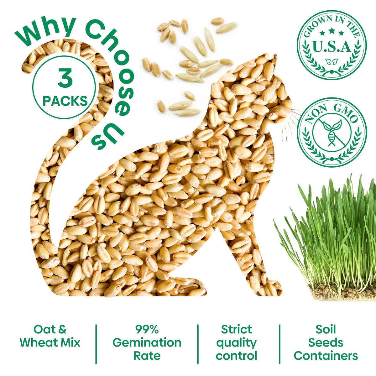 Groundio organic wheat and oat seeds blend for fiber-rich cat grass