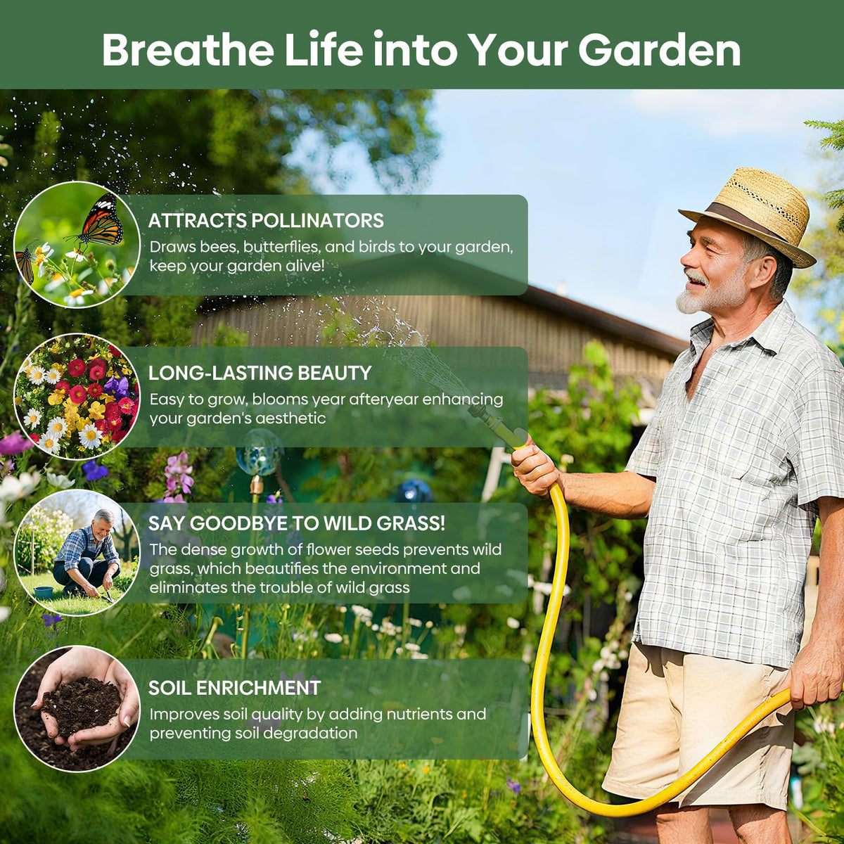 Groundio partial shade mix attracting bees and butterflies in a backyard