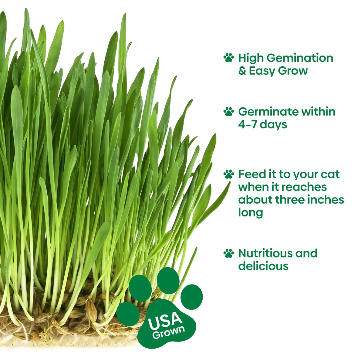 Groundio reusable planting tray is durable and spill-resistant