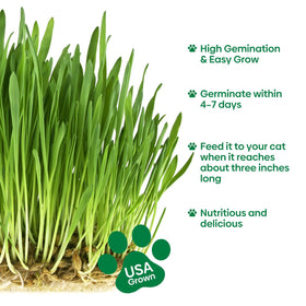 Groundio reusable planting tray is durable and spill-resistant