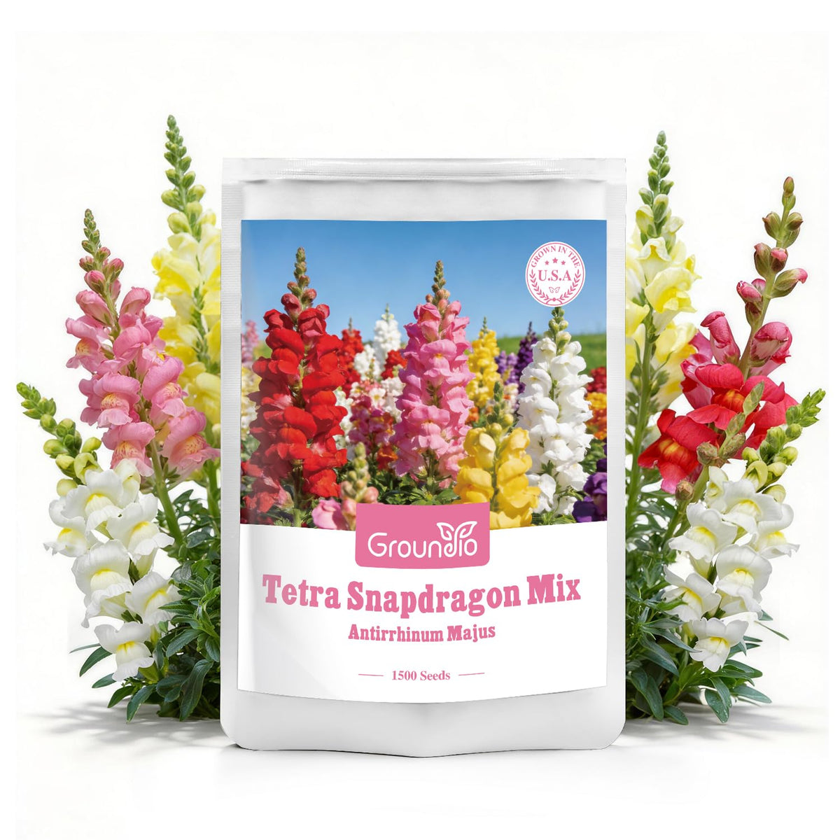 Groundio Snapdragon Seed Mix colorful blooms for beds and borders