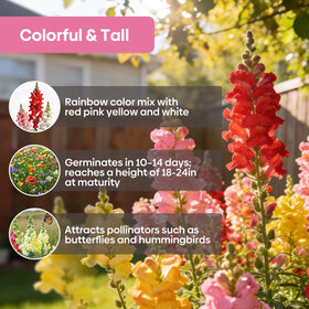 Groundio Snapdragon Seed Mix compact growth for small pots and balconies