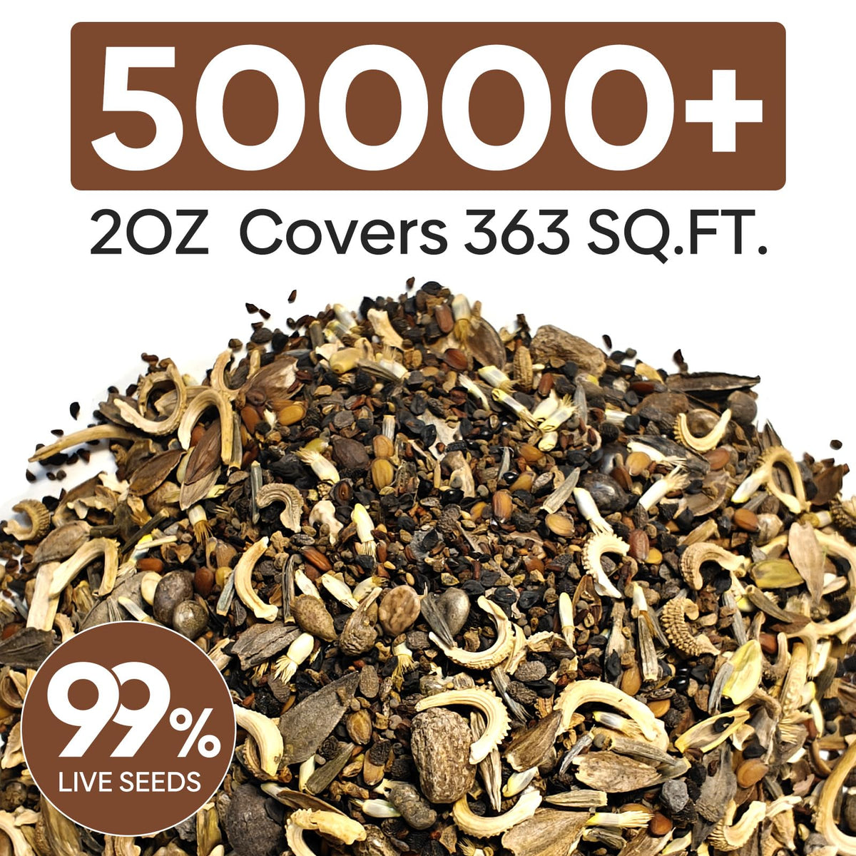 Groundio wildflower seeds 28 varieties, diverse bloom palette for bees and butterflies.