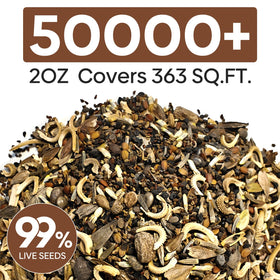 Groundio wildflower seeds 28 varieties, diverse bloom palette for bees and butterflies.