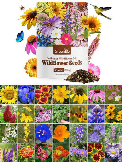 Groundio wildflower seeds 2oz pack, ready to plant for a vibrant pollinator bed.