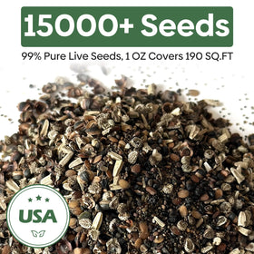 Groundio wildflower seeds set up for container planting on a balcony