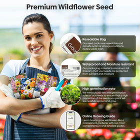 Groundio wildflowers germination test, guidance for high viability and sprouting.