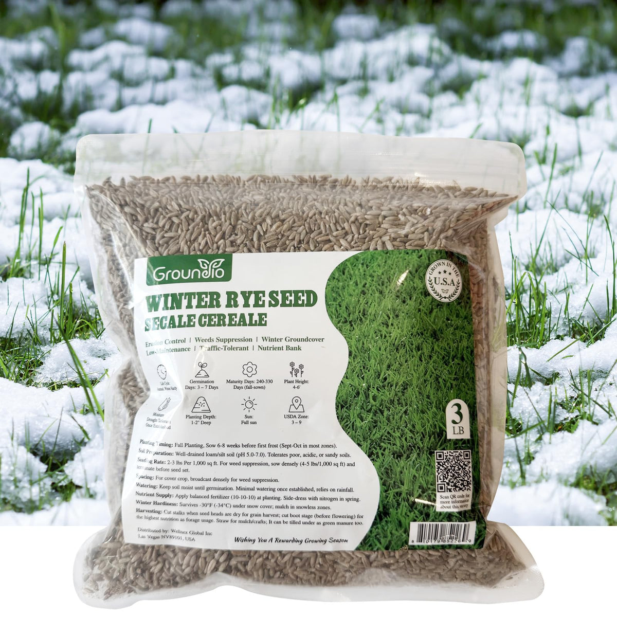 Groundio Winter Rye Seeds 3-lb package ready for winter lawn replacement.