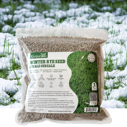 Groundio Winter Rye Seeds 3-lb package ready for winter lawn replacement.