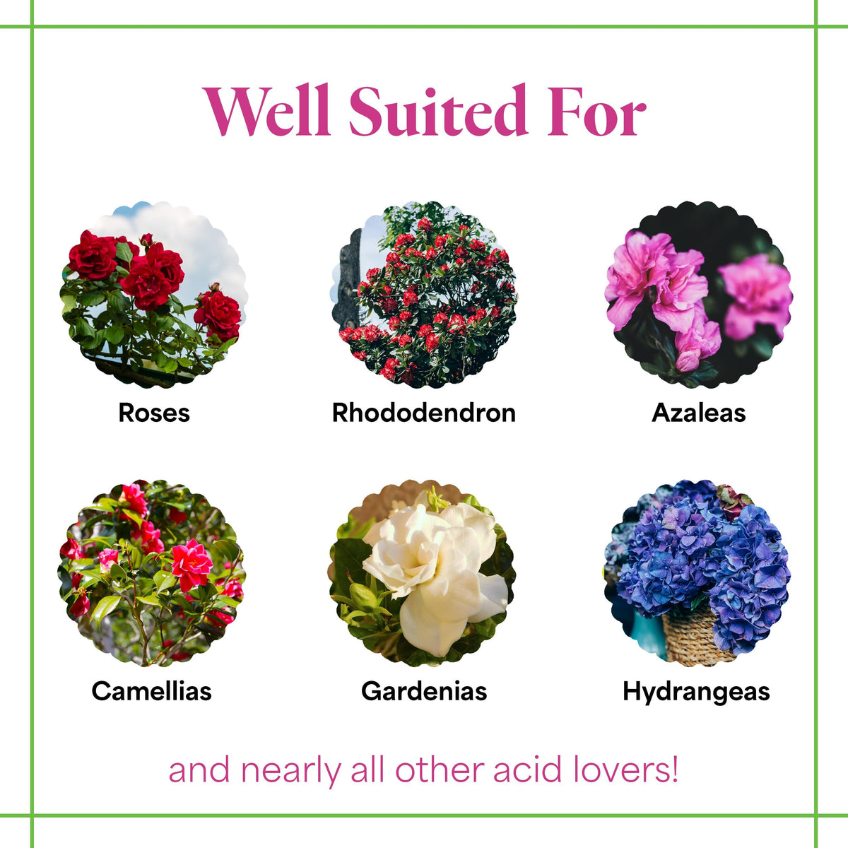 Grow More 30-10-10 lawn feed for lush, healthy turf.
