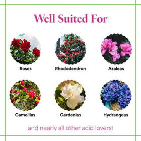 Grow More 30-10-10 lawn feed for lush, healthy turf.